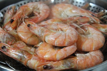 shrimp-489643_640